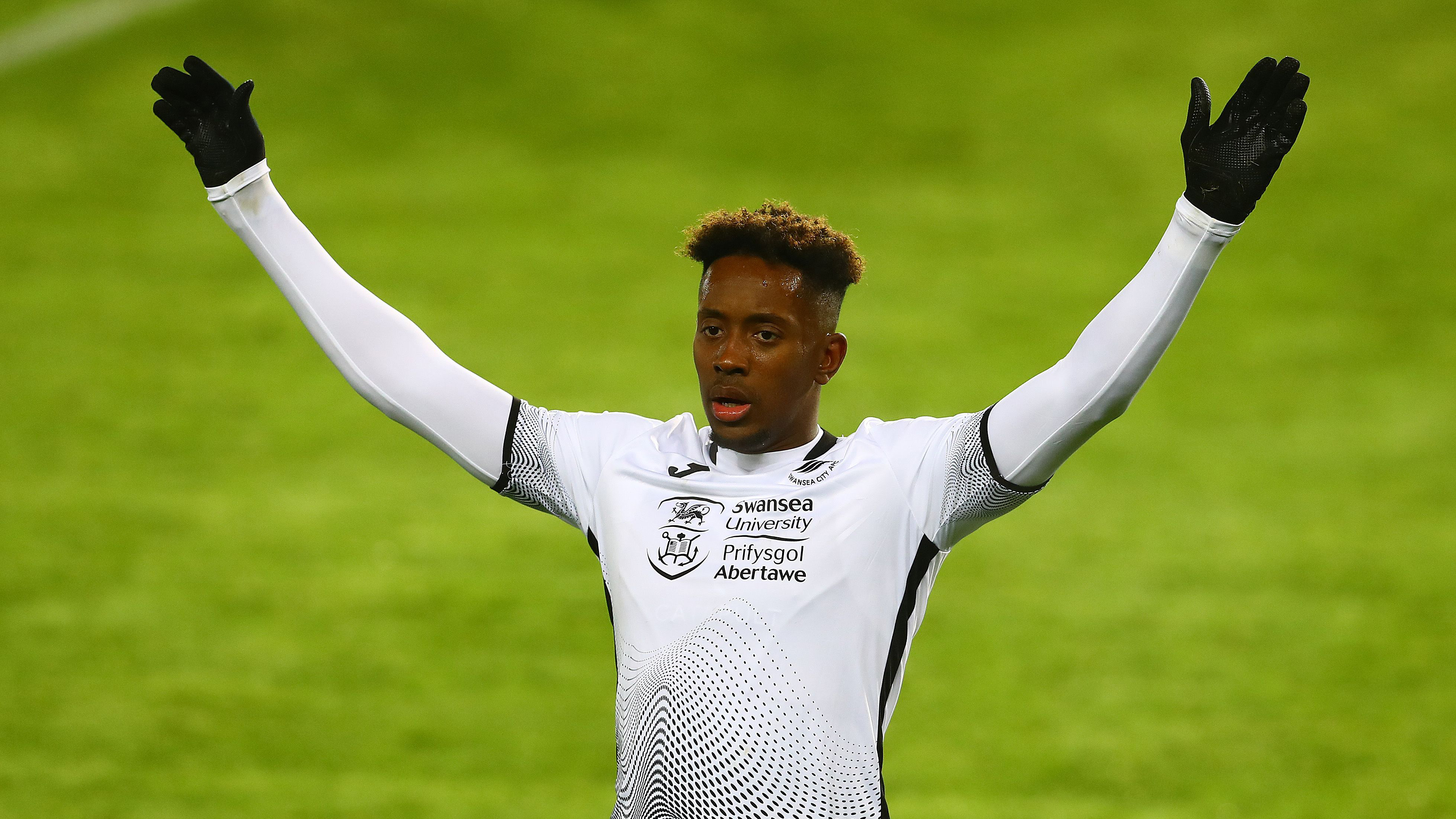 Swansea's Jamal Lowe won the PFA Young Player of the Year award. 