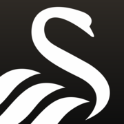 (c) Swanseacity.com